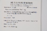 木賊藏品圖，第2張