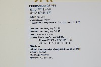地刷子藏品圖，第2張