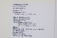 相馬氏石松藏品圖，第2張