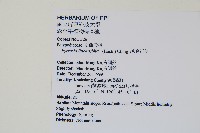 絨毛石葦藏品圖，第2張