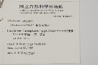 鞭葉鐵線蕨藏品圖，第2張