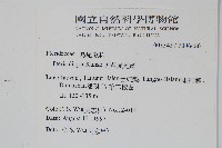 天草鳳尾蕨藏品圖，第2張