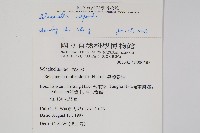 高雄卷柏藏品圖，第2張