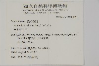 革葉鐵角蕨藏品圖，第2張