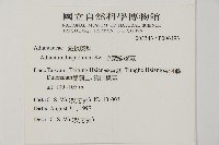 毛葉鐵線蕨藏品圖，第2張