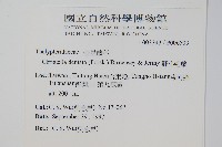 毛蕨藏品圖，第2張