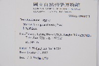 粗毛鱗蓋蕨藏品圖，第2張