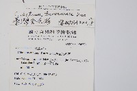 臺灣金狗毛蕨藏品圖，第2張