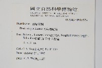 天草鳳尾蕨藏品圖，第2張