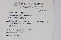 翅軸假金星蕨、短柄卵果蕨藏品圖，第2張