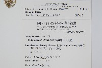 異葉卷柏藏品圖，第2張