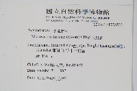 大星蕨藏品圖，第2張