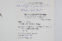 藤蕨藏品圖，第2張