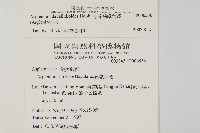 骨碎補鐵角蕨藏品圖，第2張