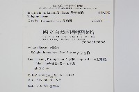 異葉卷柏藏品圖，第2張