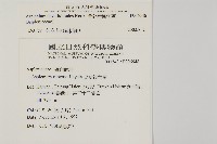 骨碎補鐵角蕨藏品圖，第2張