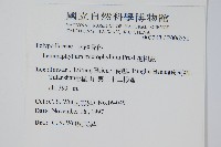 抱樹蕨、伏石蕨藏品圖，第2張