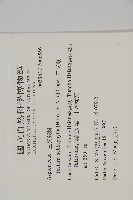 三叉蕨藏品圖，第2張