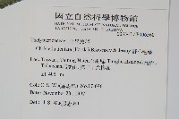 毛蕨藏品圖，第2張