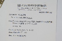 弧脈鳳尾蕨藏品圖，第2張