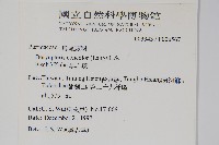 黑心蕨藏品圖，第2張