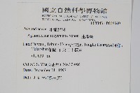 連珠蕨藏品圖，第2張