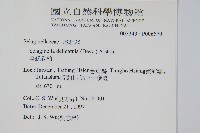 全緣卷柏藏品圖，第2張