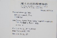 南海鱗毛蕨藏品圖，第2張