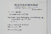 天草鳳尾蕨藏品圖，第2張