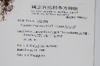 鱗瓦葦、長柄瓦葦藏品圖，第2張