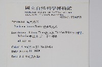 箭葉鳳尾蕨藏品圖，第2張