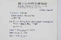 海州骨碎補藏品圖，第2張