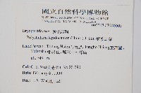 鞭葉耳蕨藏品圖，第2張