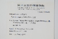 石葦藏品圖，第2張