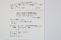 南海瓶蕨藏品圖，第2張