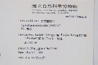 刺蕨藏品圖，第2張