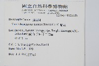 瓶蕨藏品圖，第2張