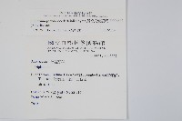 擬德氏雙蓋蕨藏品圖，第2張