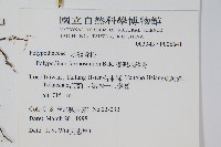 臺灣水龍骨藏品圖，第2張