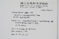 薄葉大陰地蕨藏品圖，第2張