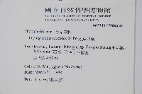 假蹄蓋蕨、東洋蹄蓋蕨藏品圖，第2張