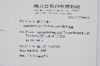 觀音座蓮藏品圖，第2張