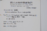 亞粗毛鱗蓋蕨藏品圖，第2張