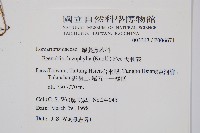 大刺蕨藏品圖，第2張