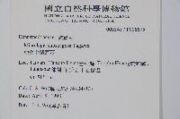 亞粗毛鱗蓋蕨藏品圖，第2張