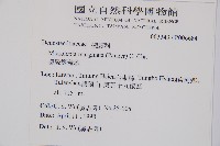 邊緣鱗蓋蕨藏品圖，第2張