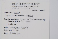 刺柄雙蓋蕨藏品圖，第2張