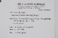 刺柄雙蓋蕨藏品圖，第2張