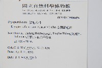 臺灣鱗毛蕨藏品圖，第2張