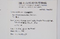 刺蕨藏品圖，第2張